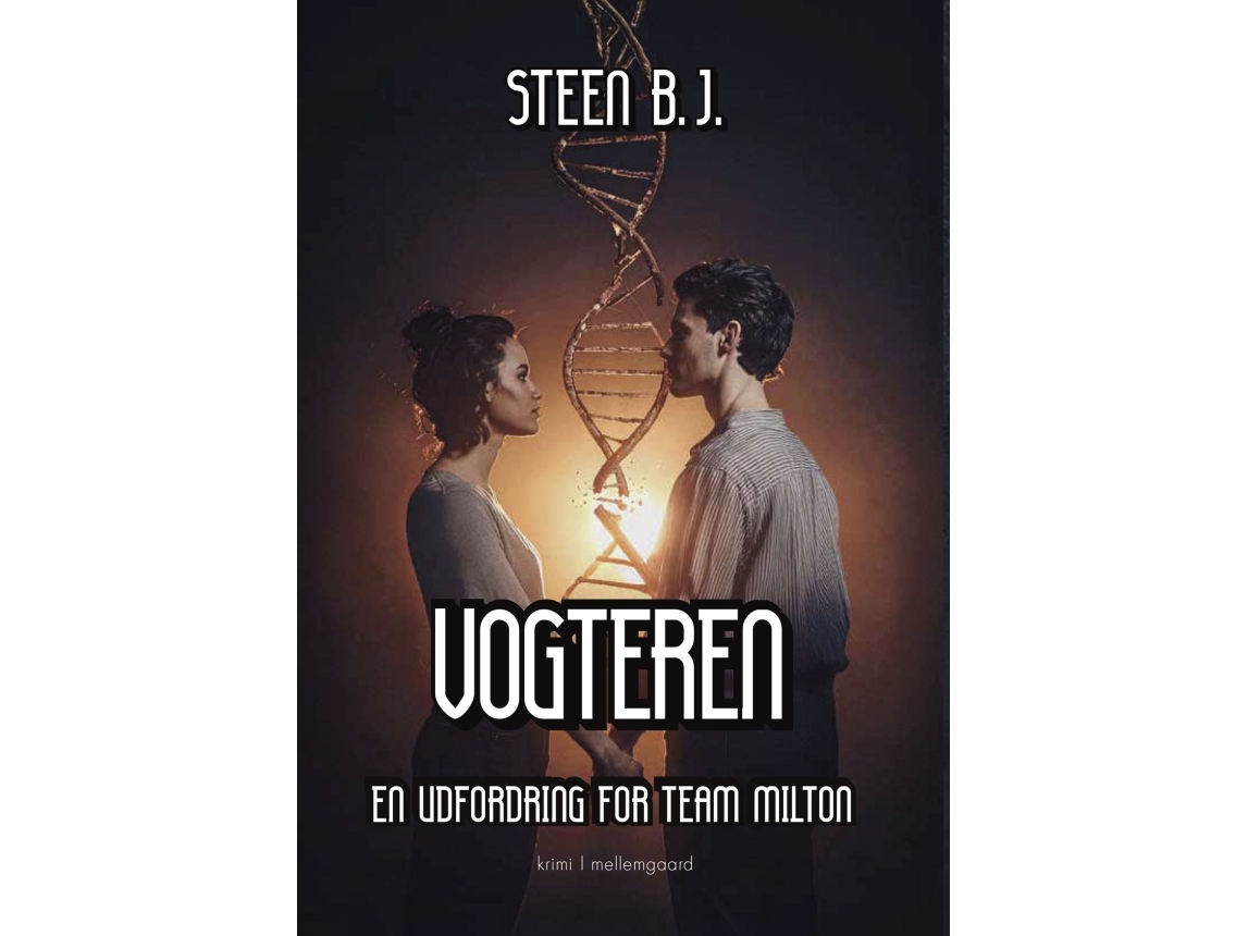 Vogteren | Steen B.J.