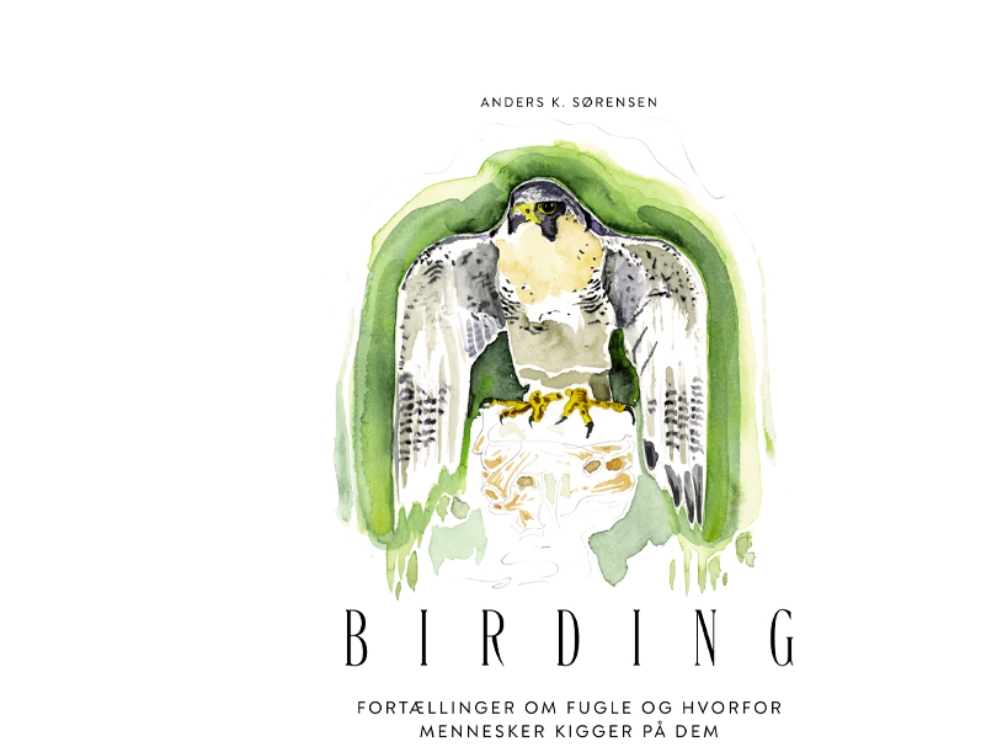 BIRDING | Anders K. Sørensen