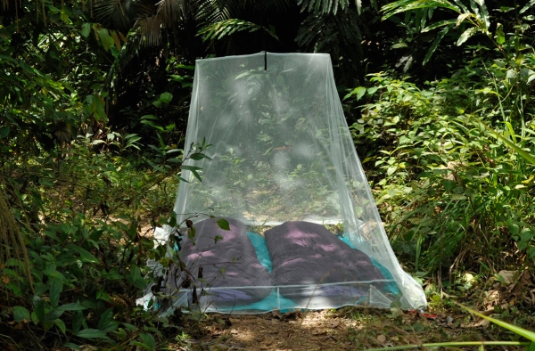 Cocoon MNC2, Pyramidformat myggnät, 2 personer, Grön, Polyester, Camping, 2300 mm | Trädgården - Terrass - Hängmattor | GameStuff