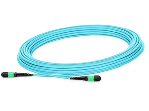 Nvidia - Direkte Påsætning-Kabel - Mpo-12/Apc Multi-Tilstand Til Mpo-12/Apc Multi-Tilstand - 35 M - 35 M. - Fiberoptik - Passivt