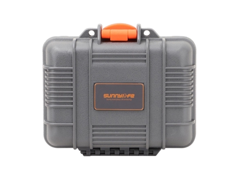 Hartschalenetui Mini Sunnylife Für Action 6