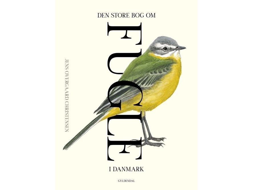Den store bog om fugle i Danmark | Jens Overgaard Christensen