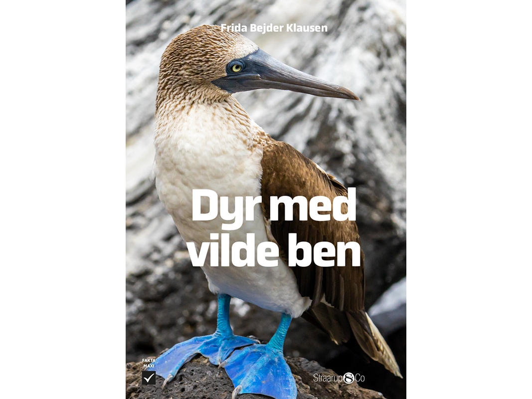 Dyr Med Vilde Ben | Frida Bejder Klausen