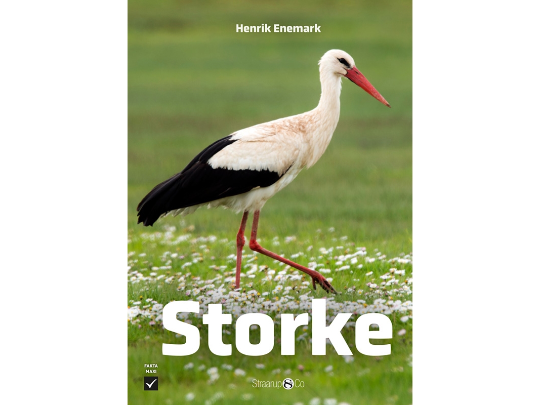 Storke | Henrik Enemark