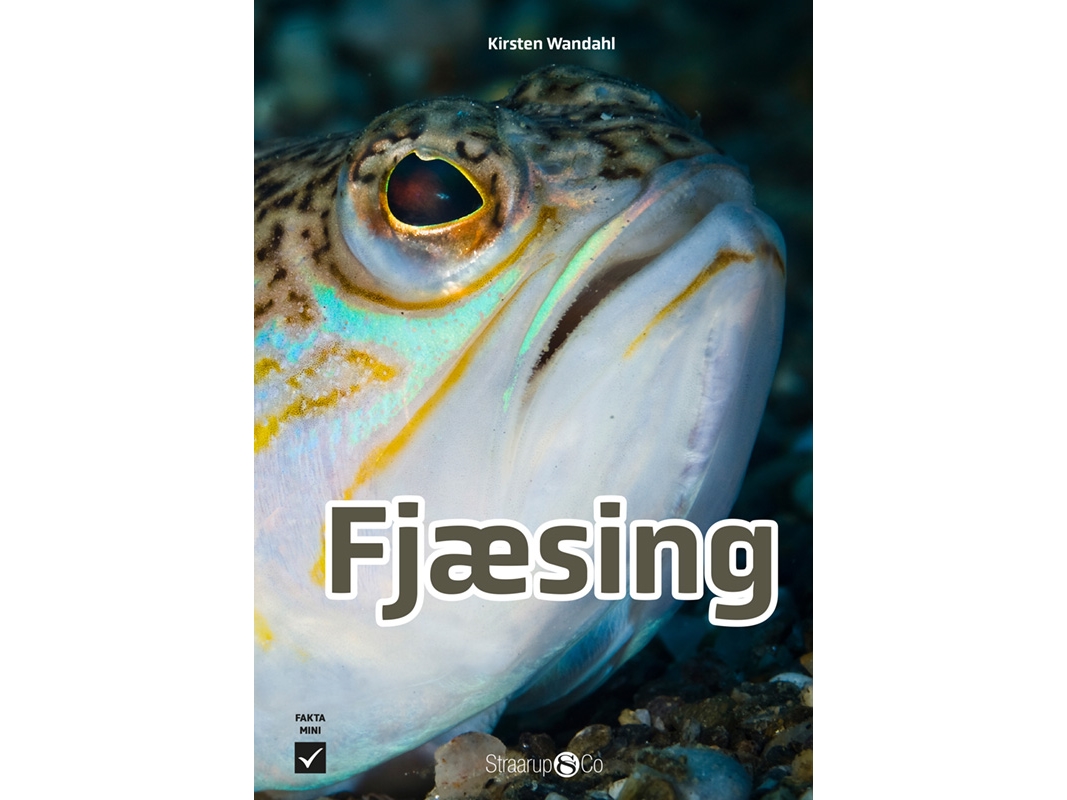 Fjæsing | Kirsten Wandahl