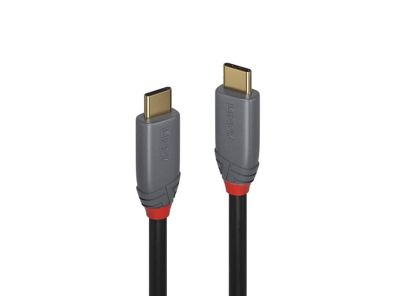 Lindy 36904, Hanstik