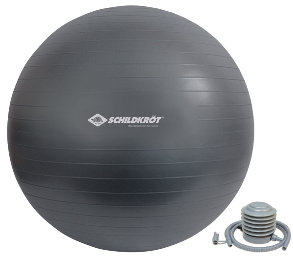 Schildkröt Fitness 960158, Grå, Fuld størrelse, 120 kg, Voksne, 85 cm