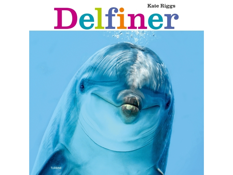 Delfiner | Kate Riggs