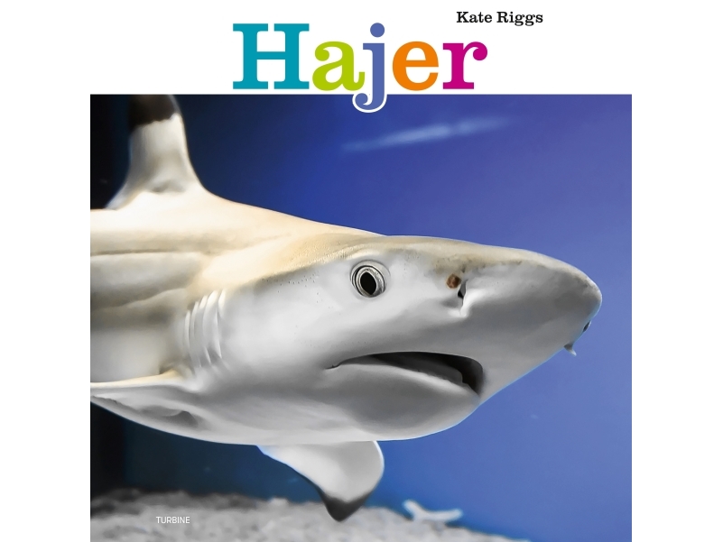 Hajer | Kate Riggs