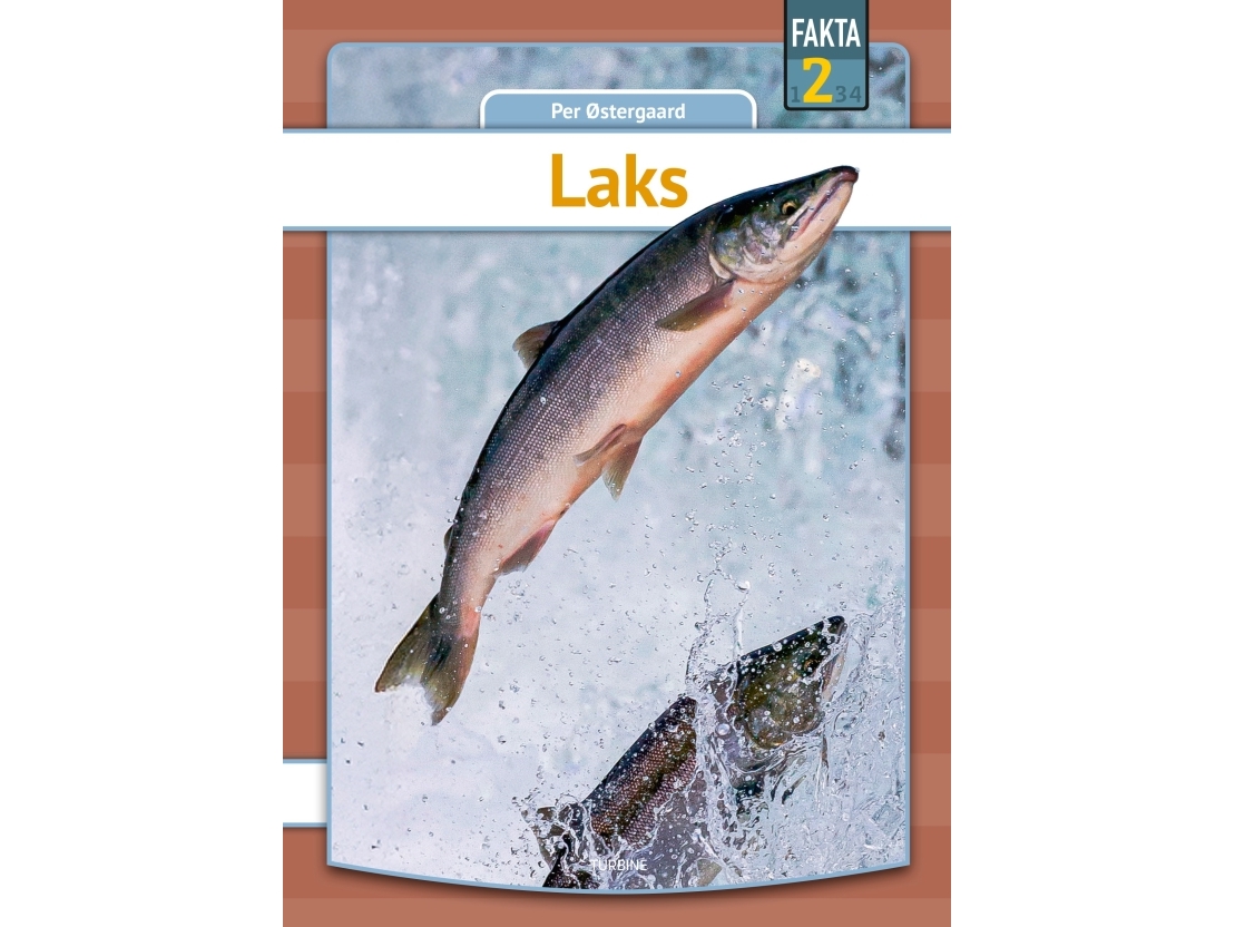 Laks | Per Østergaard