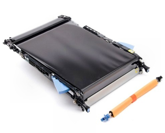 Hp Cf081-67904, Bælte, Sort, Orange