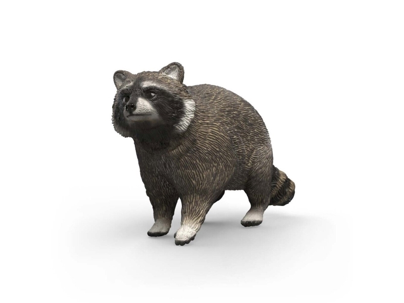 Schleich Raccoon