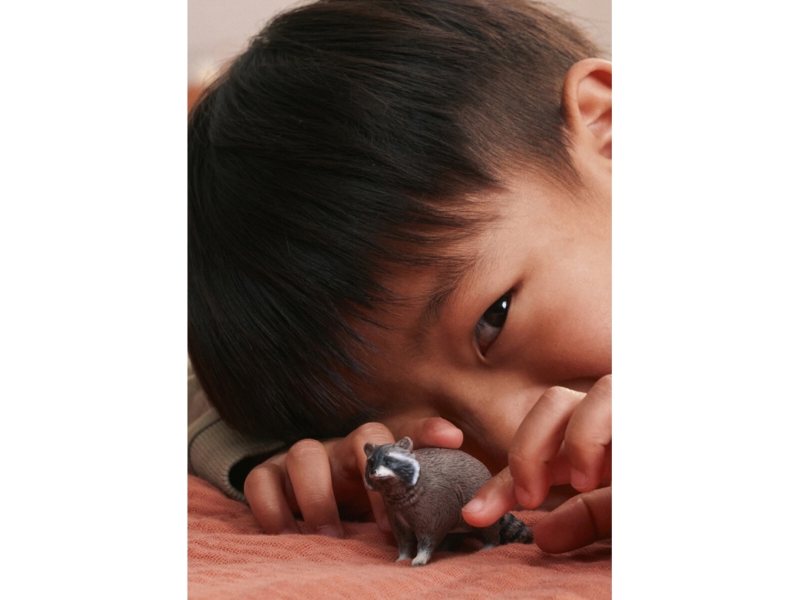 Schleich Raccoon