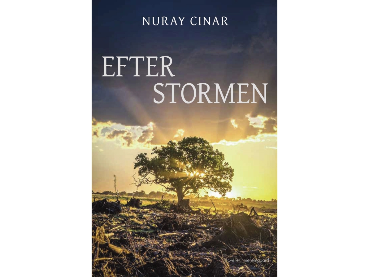 Efter Stormen | Nuray Cinar
