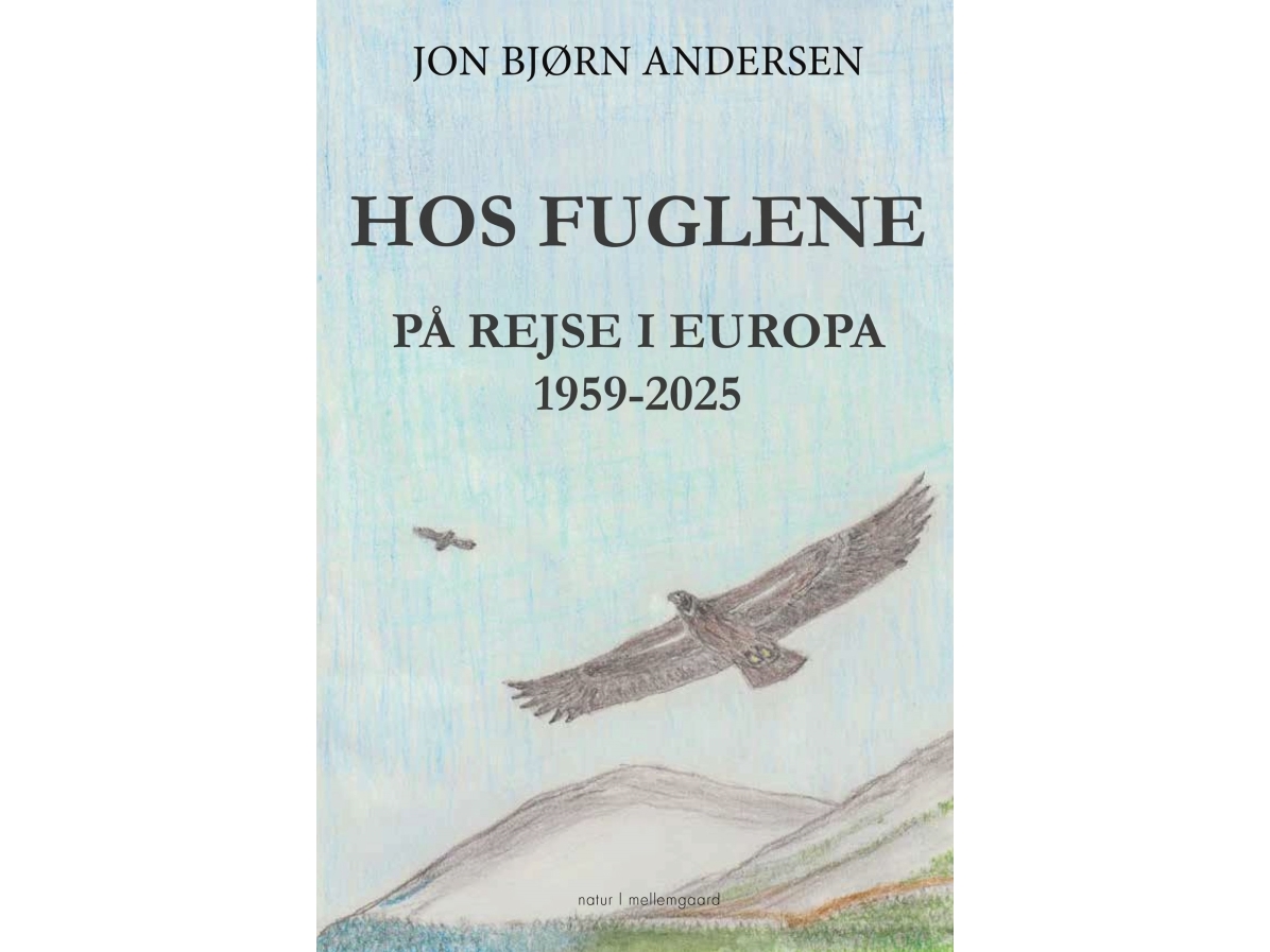 Hos Fuglene | Jon Bjørn Andersen