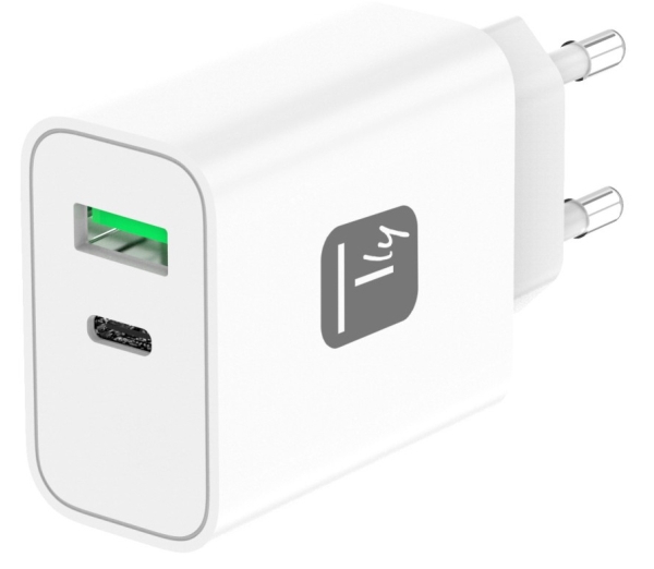 Techly Gan Netzladegerät Usb-C 30W Pd + Usb-A 30W Qc