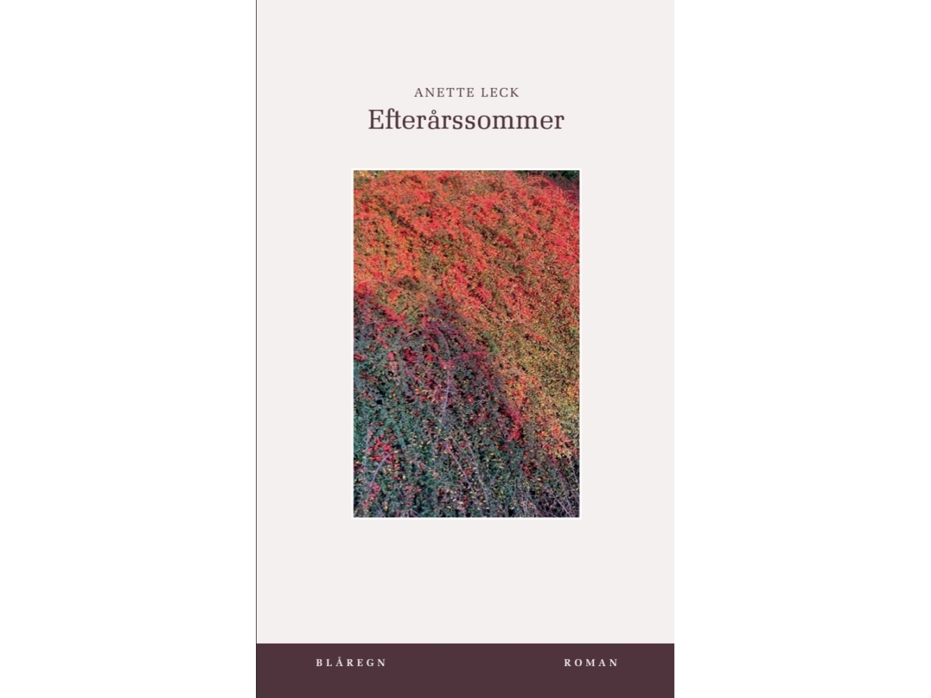 Efterårssommer | Anette Leck