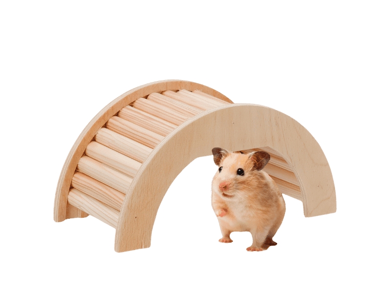 Ferplast Arcade Arch