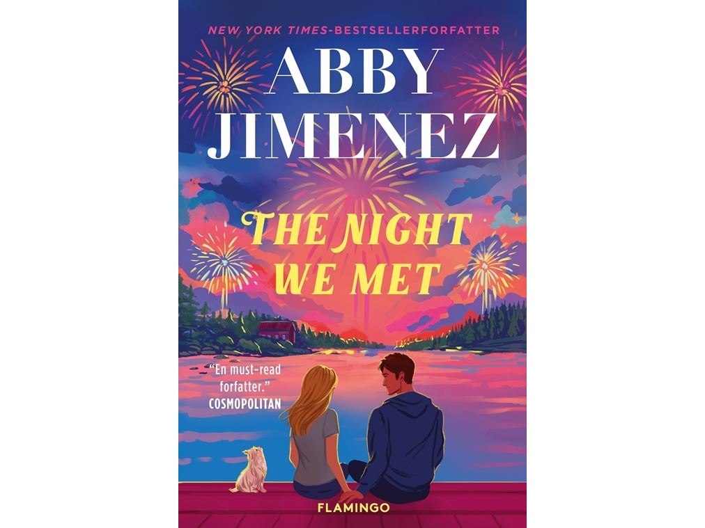 Flamingo The Night We Met, Skønlitteratur, Dansk, Paperback, 368 Sider |