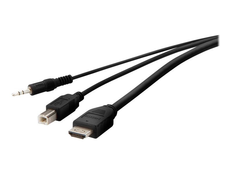 Belkin Secure Kvm Combo Cable - Video / Usb / Lydkabel - Taa-Kompatibel - Usb, Ministik, Hdmi (Han) Til Usb Type B, Ministik, Hdmi (Han) - 3.05 M - P