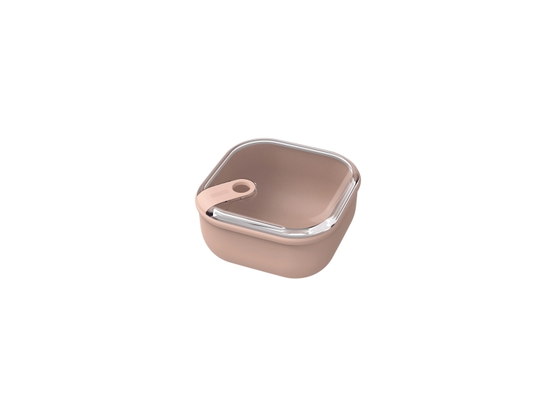 Rotho 1057203071Ws, Container, Quadratisch, 1 L, Rose, Kunststoff, 160 Mm