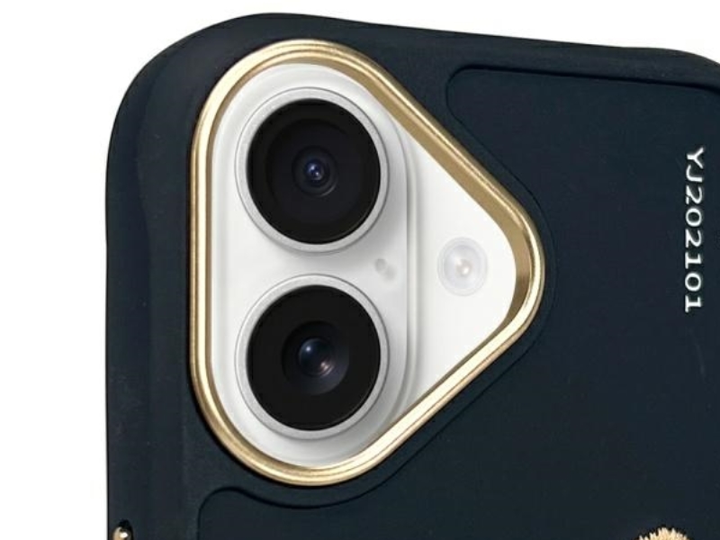 Nimmy Brille Cool Dog Iphone 16 Hülle - Schwarz