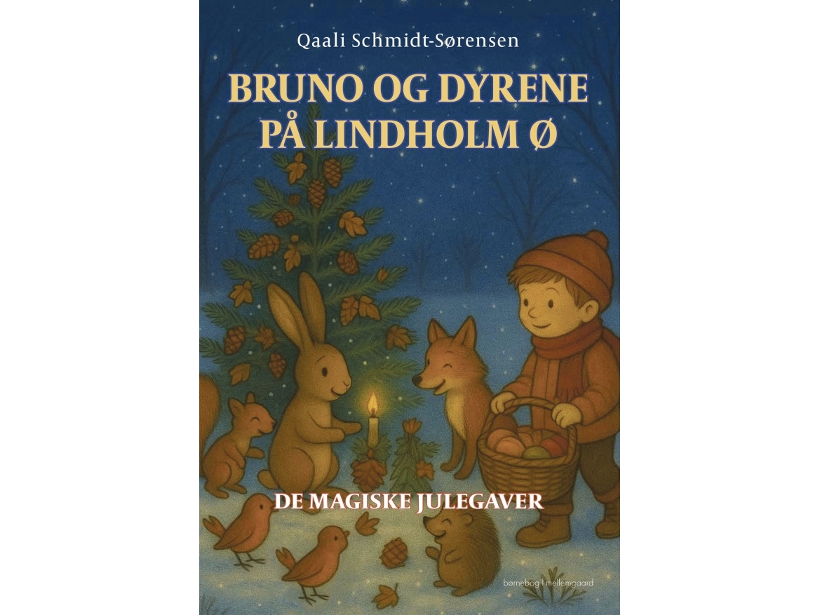 De Magiske Julegaver | Qaali Schmidt-Sørensen