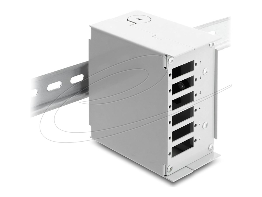 Delock - Patchpanel (Blank) - For Sc Duplex Or Lc Quad - Din-Skinnemonterbar - Grå - 6 Porte