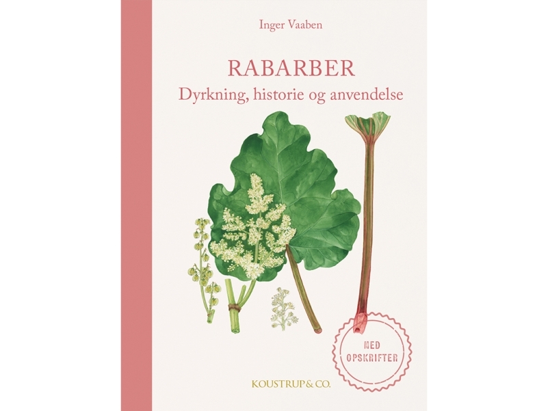 Rabarber | Inger Vaaben