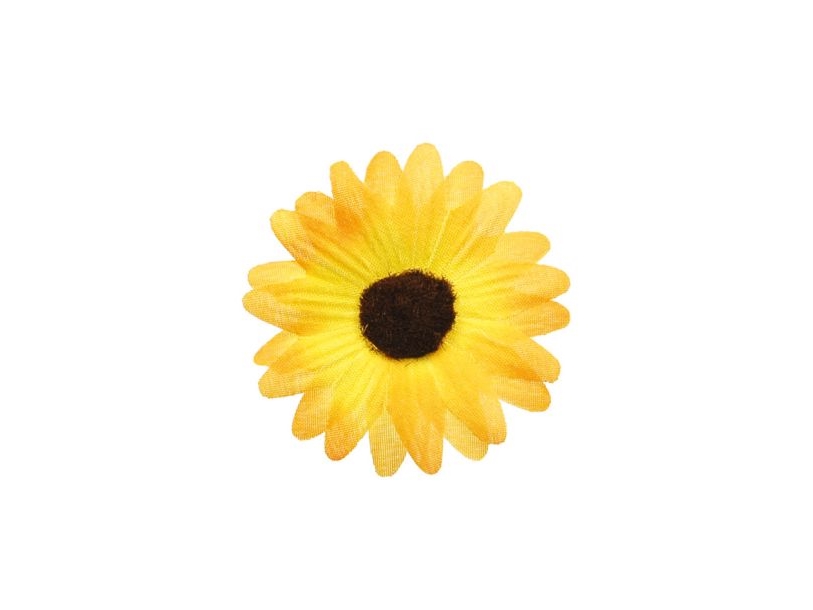 Gelbe Deko-Gänseblümchen, 5 Cm