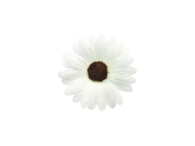 Weiße Deko-Margeriten, 5 Cm