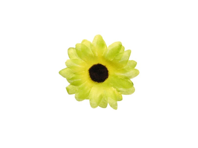 Lysegrøn Deko Marguritter, 5 Cm