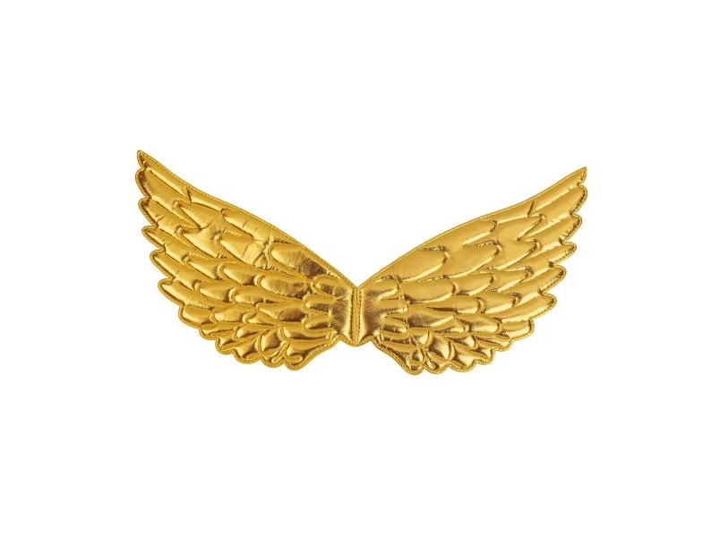 Goldene Flügel, 43 X 22 Cm