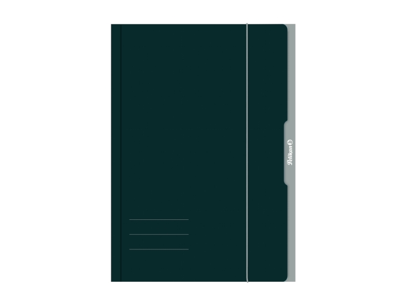 Pelikan 276856, Cirkulation (Flydende) Mappe, A3, Pap, Grøn