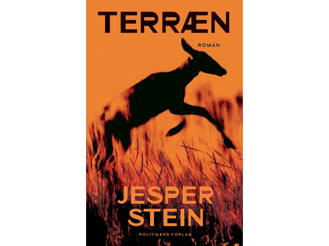 Terræn | Jesper Stein
