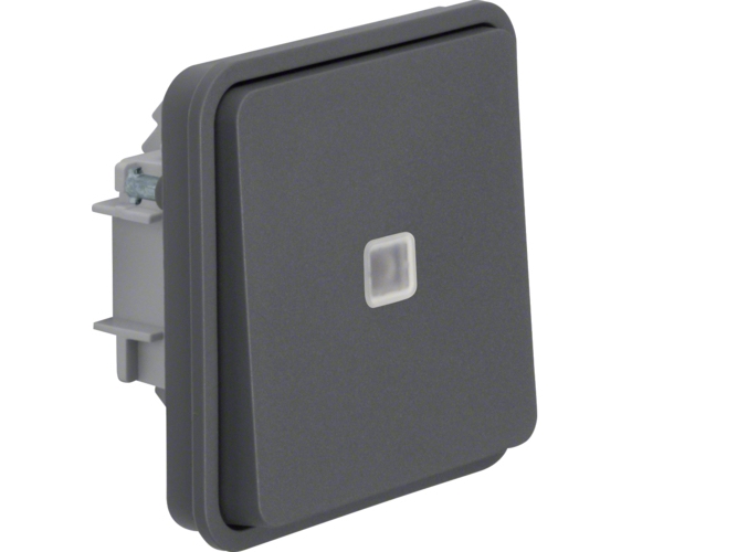 Berker 30863515, Taster, Grau, 250 V, 10 A