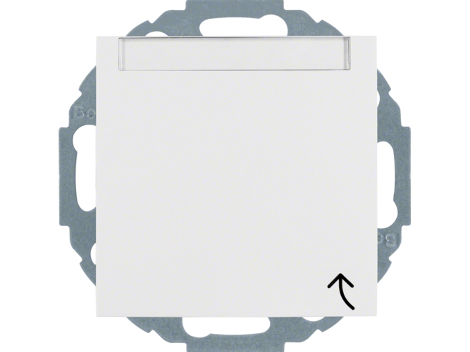 Berker 47461909, Typ F, Weiß, Thermoplast, Ip20, 250 V, 16 A