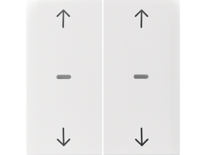 Berker 80961389, Weiß, Thermoplast, Schraubenlos, Berker, Glänzend, S.1