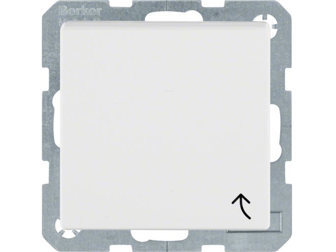 Berker 47241909, Type F, Din-Skinne, Hvid, Termoplast, Ip44, 250 V