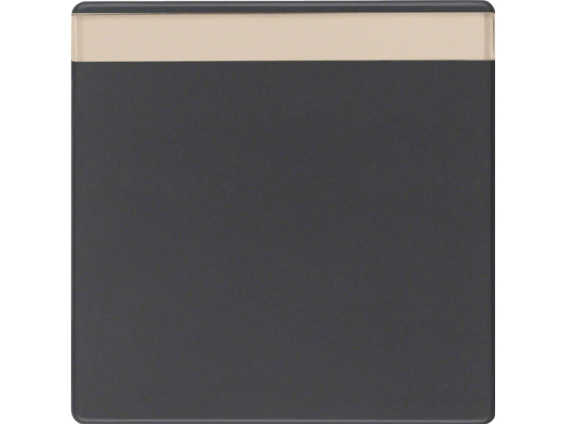 Berker Wippe Mit Beschriftungsfeld Q.1/Q.3 Anthrazit, Samt, Wippe, Anthrazit, Duroplast, Q.1/Q.3, 10 Stück(E)