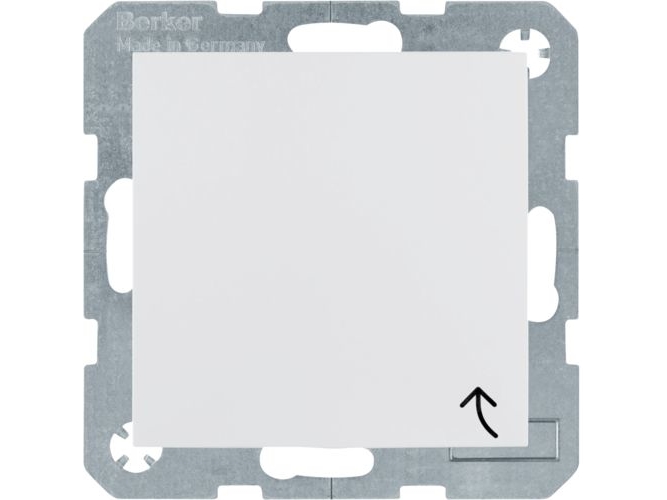 Berker 41248989, Typ F, Din-Schiene, Weiß, Thermoplast, Ip44, 250 V