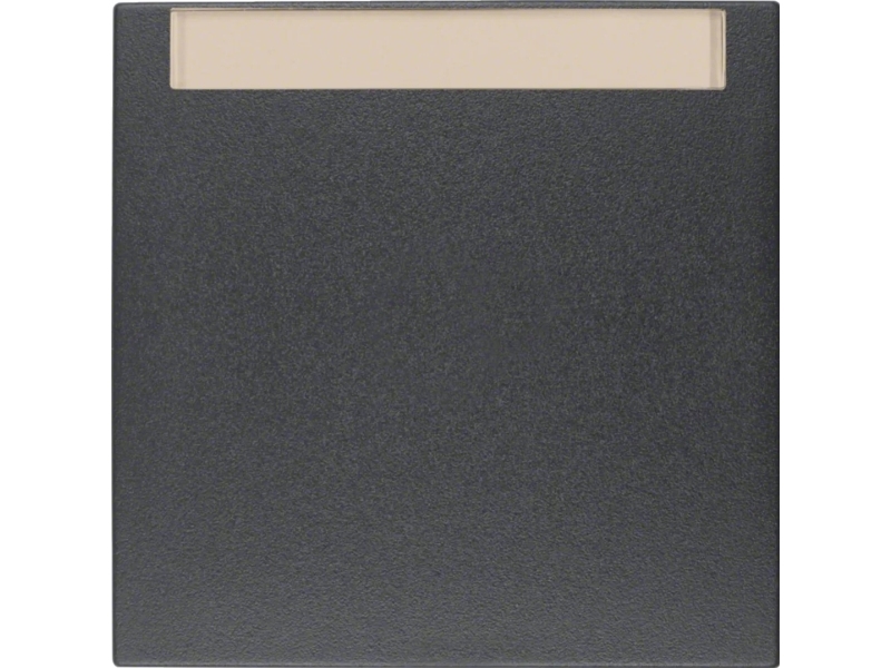 Berker Wippe Mit Beschriftungsfeld S.1/B.3/B.7 Anthrazit, Matt, Wippe, Anthrazit, Thermoplast, S.1/B.3/B.7, 10 Stück(E)