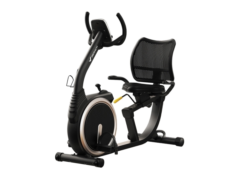 MERACH MR-S19 Recumbent Bike