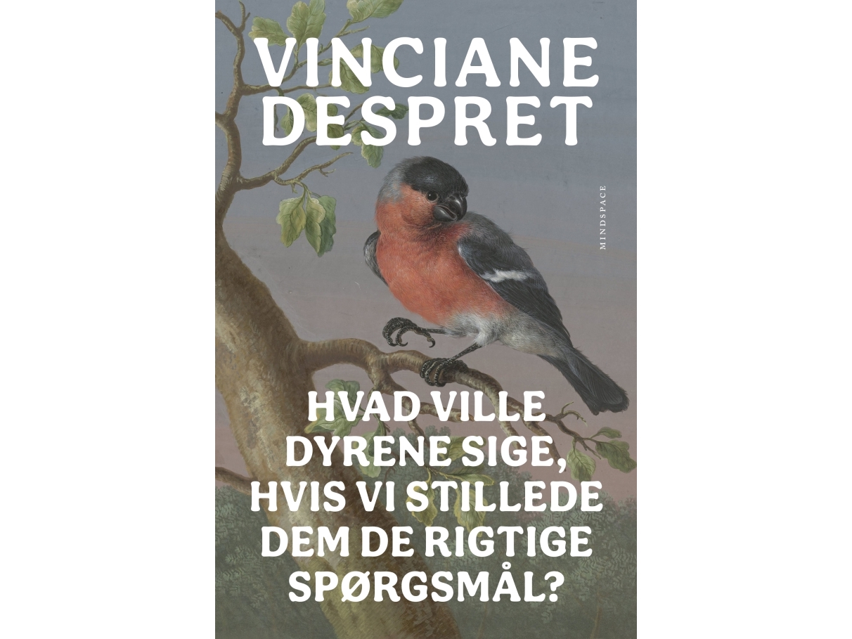 Hvad Ville Dyrene Sige, Hvis Vi Stillede Dem De Rigtige Spørgsmål? | Vinciane Despret