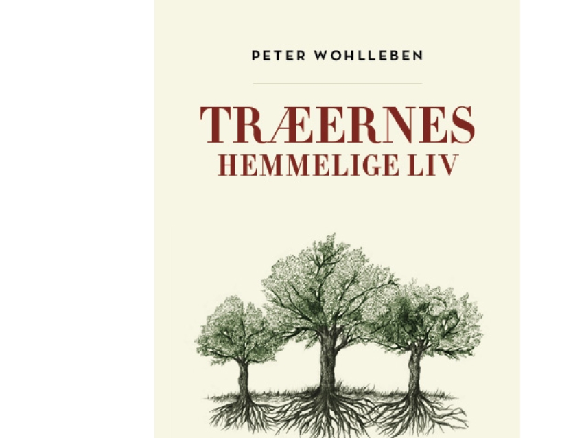 Træernes Hemmelige Liv | Peter Wohlleben
