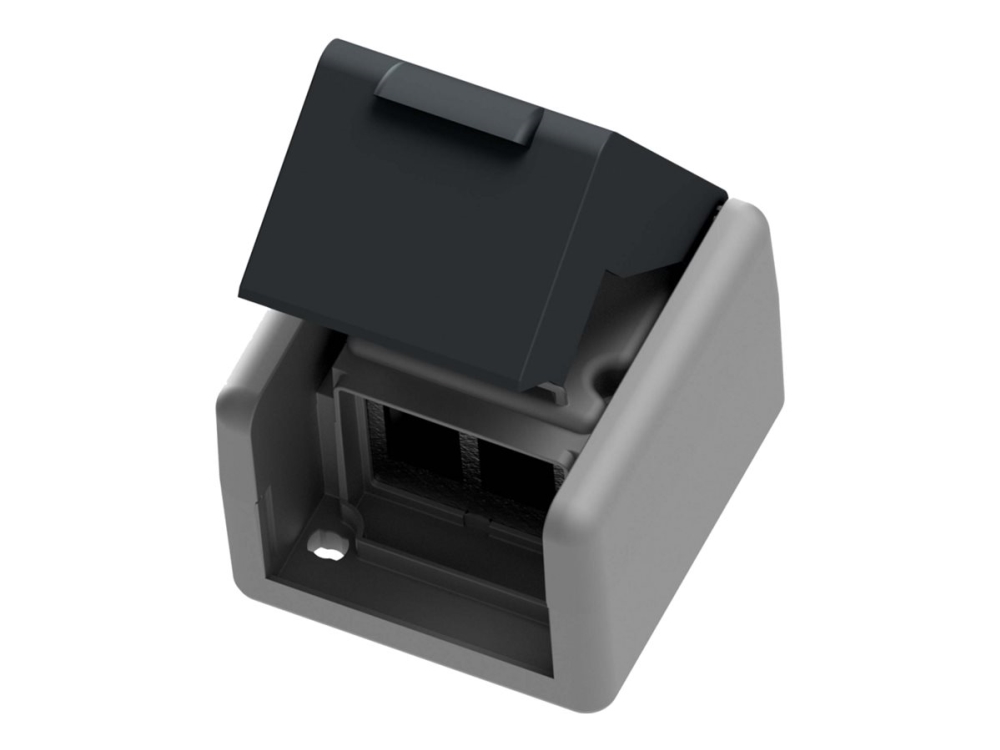EasyLan Cu fixLink - Stik til montering på overflade - IP44, double, straight outflow - antracit-grå, RAL 7016, lysegrå, RAL 7035 - 2 porte