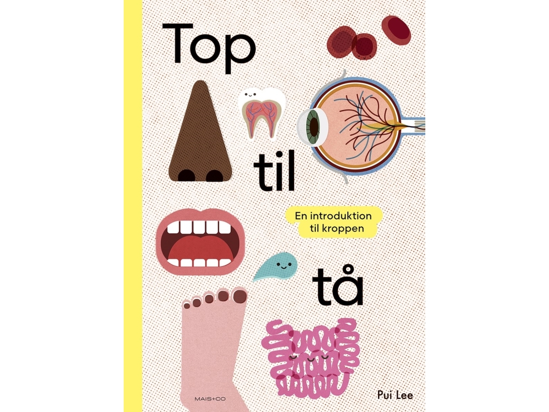 Top Til Tå - En Introduktion Til Kroppen | Pui Lee