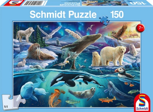 Schmidt Spiele 56484, Junge/Mädchen, Mehrfarbig, Junge/Mädchen