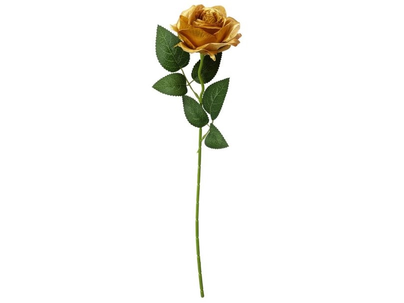 Gold Rose, 50 Cm