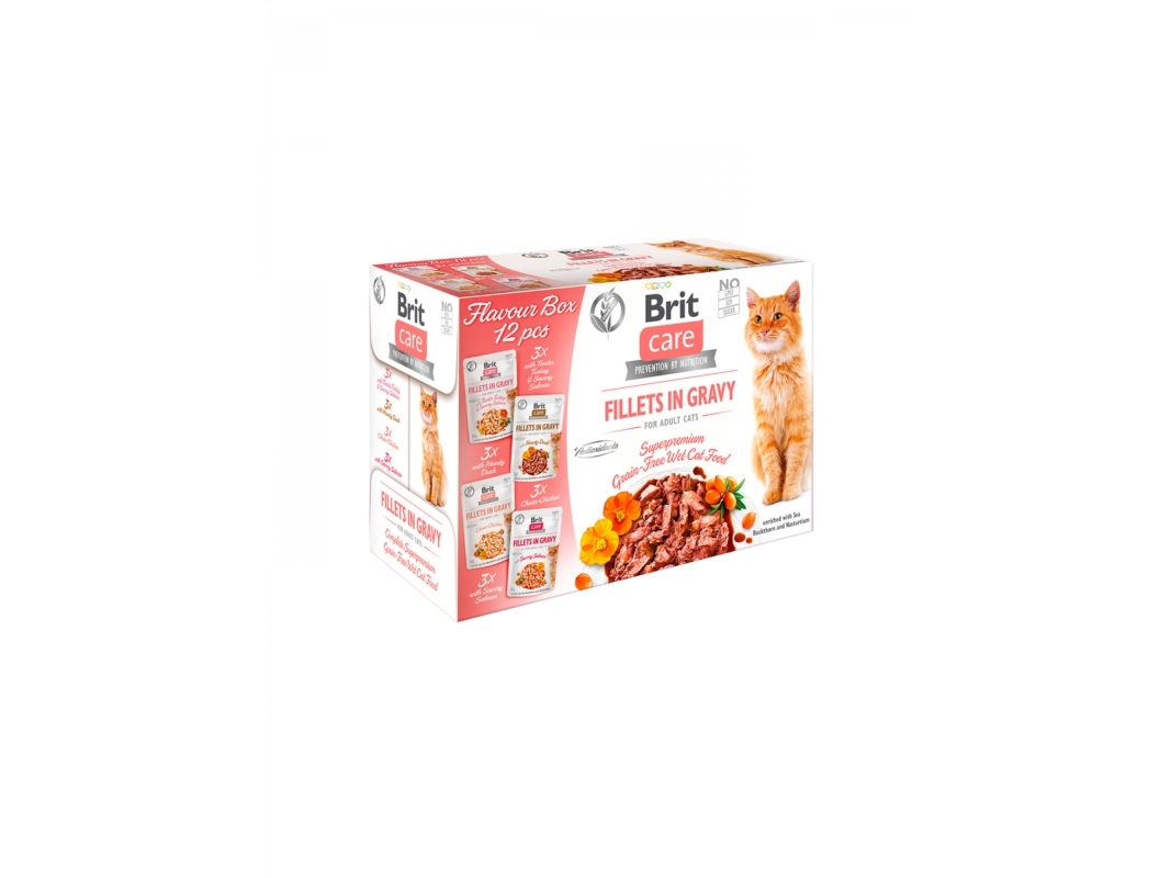 Brit Brit care fillets in gravy for adult cats 12x85g